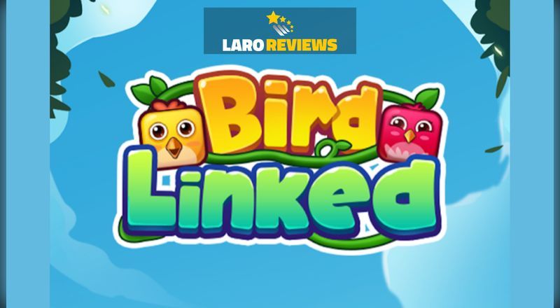 Bird Linked Review - Legal ba ang Bird Linked