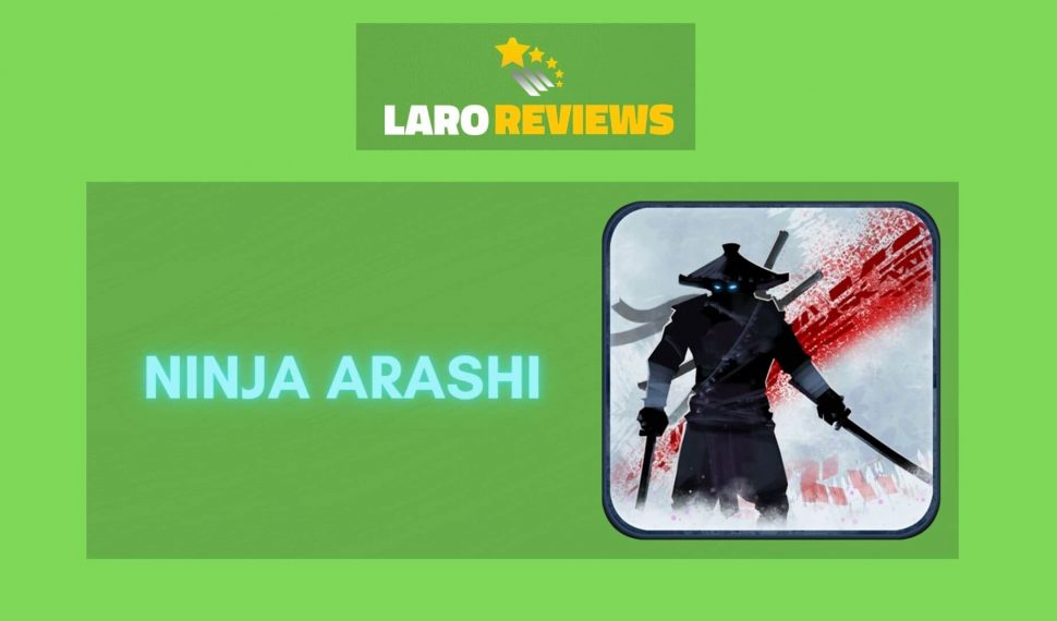 Ninja Arashi Review