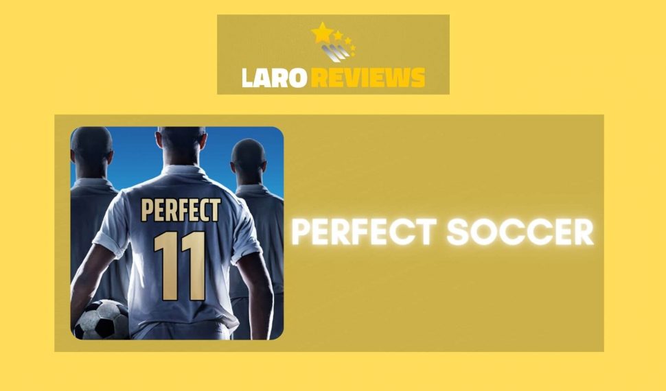 Perfect Soccer Review