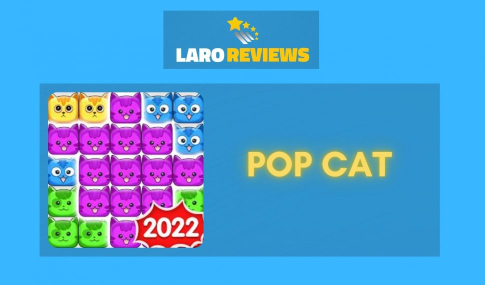 Pop Cat Review