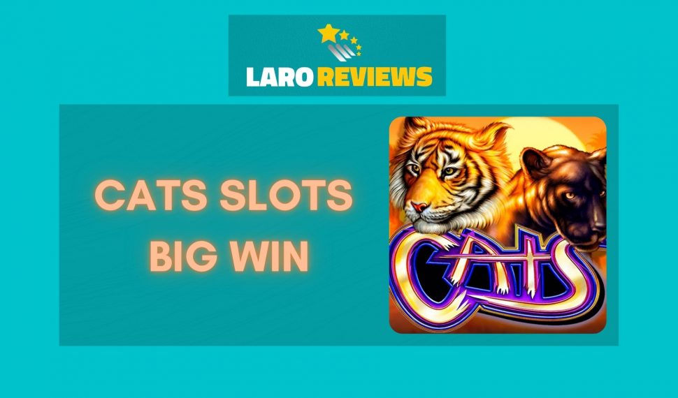 Cats Slots Big Win Game Review