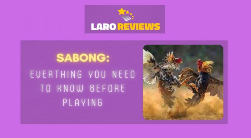 Sabong: Everything you need to know before playing