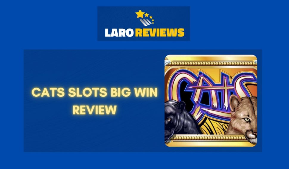 Cats Slots Big Win Review