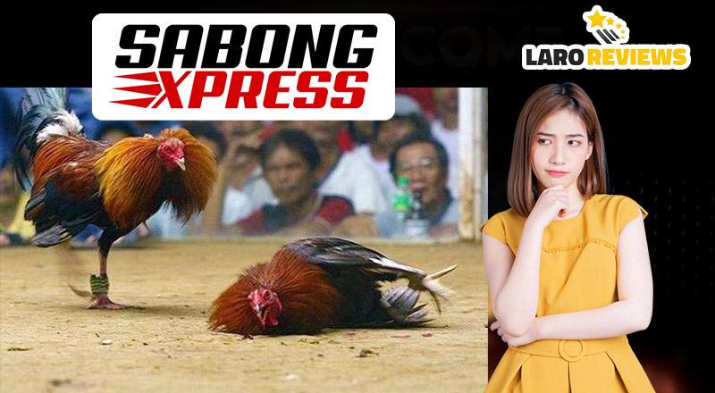Mga disadvantage ng Sabong Express at paano ito matugunan.