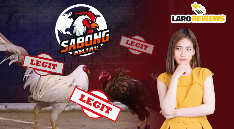 Sabong Worldwide.Net – Is live cockfighting legal? Reviews