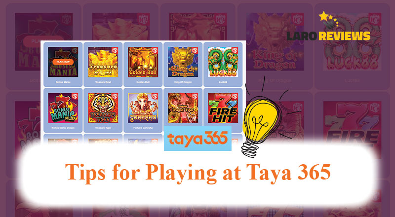 Basahin at sundin ang mga taktika na ibinahagi ng mga manlalaro sa Taya 365.