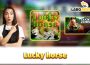 Online Casino: Explore the World of Entertainment at Lucky Horse